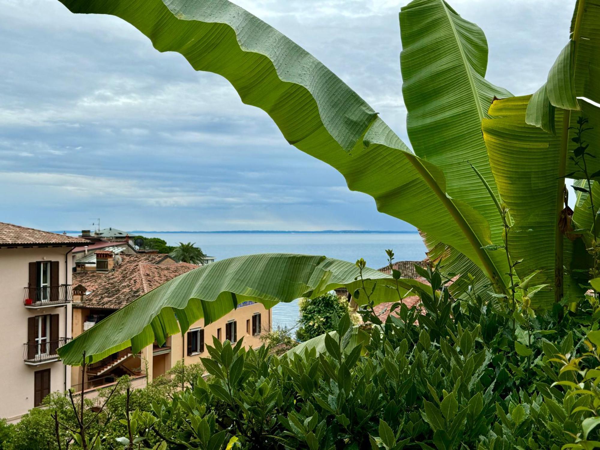 Casa Dolce Vita, Seeblick Toscolano Maderno Eksteriør billede